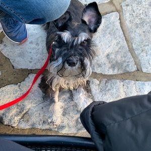 Meet your Posher, Jen